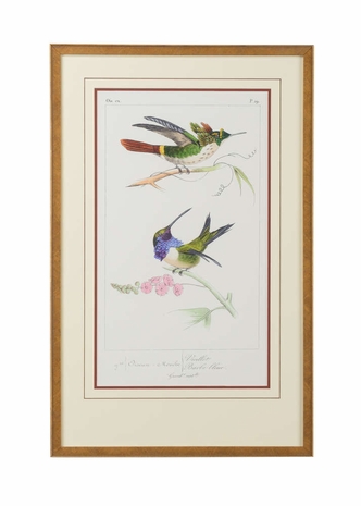 386614 Chelsea House Giclee Print - Antique Gold Frame Double Mat With Open V-Groove Lemaire Hummingbirds I
