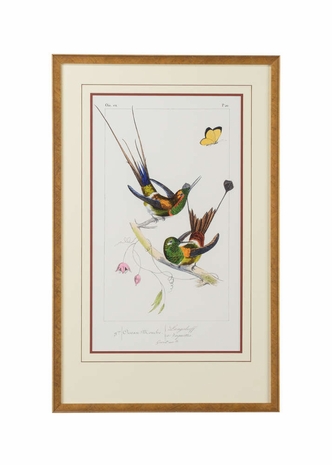 386617 Chelsea House Giclee Print - Antique Gold Frame Double Mat With Open V-Groove Lemaire Hummingbirds IV