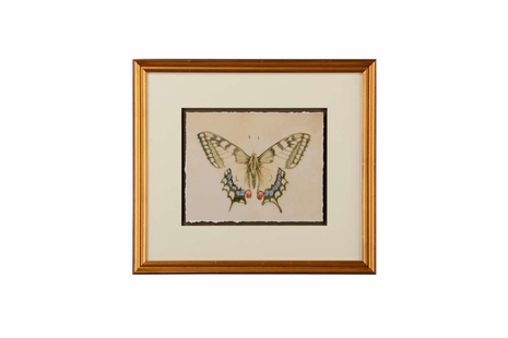 386635 Chelsea House Giclee Print - Distressed Gold Frame Single Mat - Floated Art Butterfly Varietal IV
