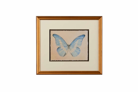 386636 Chelsea House Giclee Print - Distressed Gold Frame Single Mat - Floated Art Butterfly Varietal V