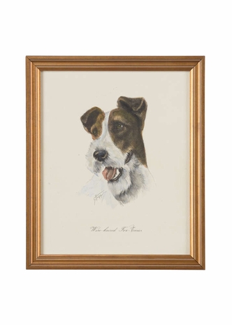 386648 Chelsea House Hand Colored Lithograph Gold Frame Wire-Haired Fox Terrier