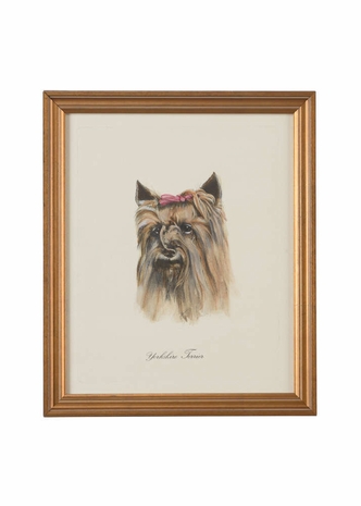 386652 Chelsea House Hand Colored Lithograph Gold Frame Yorkshire Terrier