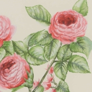 386702 Chelsea House Bradshaw Orrell Watercolor White Frame - White Double Mat Flower Study II