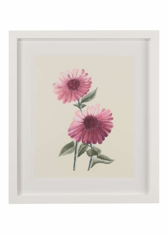 386703 Chelsea House Bradshaw Orrell Watercolor White Frame - White Double Mat Flower Study III