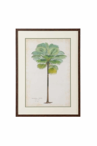 386756 Chelsea House Giclee Palm Of The Tropics II