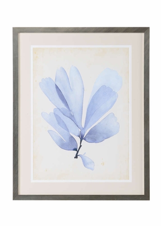 386773 Chelsea House Giclee Watercolor Seagrass II