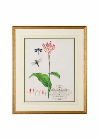 386803 Chelsea House Giclee Canna And Dragonflies II