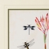386803 Chelsea House Giclee Canna And Dragonflies II