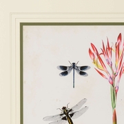 386803 Chelsea House Giclee Canna And Dragonflies II