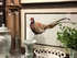 386807 Chelsea House Giclee Watercolor Pheasant II