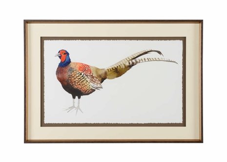 386807 Chelsea House Giclee Watercolor Pheasant II