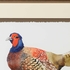 386807 Chelsea House Giclee Watercolor Pheasant II