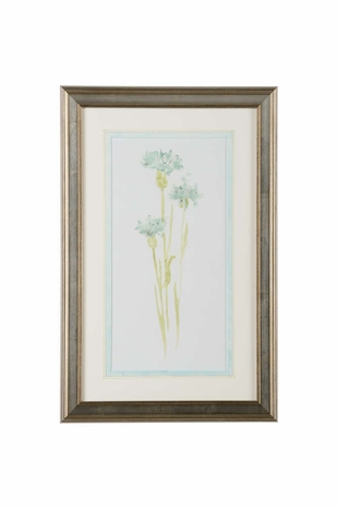 386848 Chelsea House Giclee Corn Flower Study IV