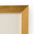 386994 Chelsea House 11in. Plaster Intaglios The Grand Tour Intaglios III with Gold Finish