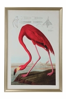 387126 Jamie Merida 51in. Giclee Print American Flamingo with Gold Finish