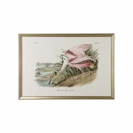 387199 Chelsea House 35in. Wood/Glass Roseate Spoonbill with Giclee Print
