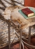 490306 Wildwood Bedrock Nested Tables (S2)