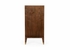 490561 Wildwood 36in. Wood/Brass/Mirror Andros Black Walnut Cabinet with Antique Finish