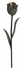 495753-DKB Jonathan Charles Cosmo Tulip Flower In Dark Bronze With Verdigris
