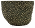 495772-BRS-031 Jonathan Charles Cosmo The Half Jackfruit