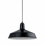 5DRS16MBK-BC Troy Lighting Ezra 1Lt Pendant with Gloss Black Finish