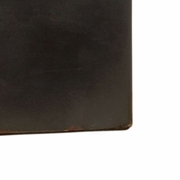 60974 Wildwood Gold Wild Palm Lamp (Sm)