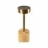 61423 Wildwood Theodore Rechargeable Lamp