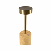 61423 Wildwood Theodore Rechargeable Lamp