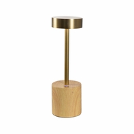 61423 Wildwood 10in. Metal Theodore Rechargeable Lamp with Wood Grain/Antique Brass Finish