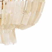 67207 Wildwood Ellison Chandelier