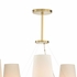 67496 Wildwood Zuri Chandelier