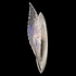 894550-1 Fine Art Lighting Plume 22"H Sconce with Silver/Dichroic "Plumes" Finish