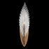 894550-21 Fine Art Lighting Plume 22"H Sconce with Gold/White "Plumes" Finish