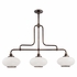 9813 Hudson Valley Canton 3 Light Island
