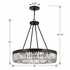 ALI-B2010-CZ Crystorama Alister 10 Light Charcoal Bronze Chandelier