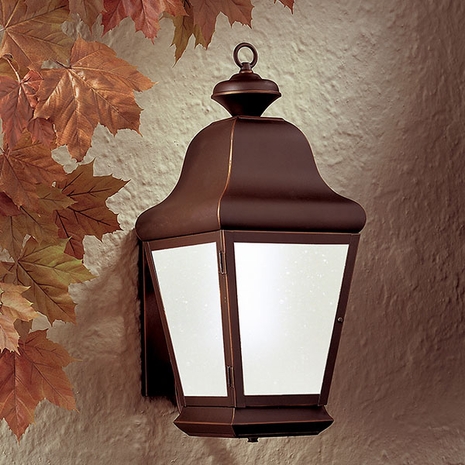 BFCD4920 Troy Lighting Carlton Fluorescent Outdoor Wall Sconce