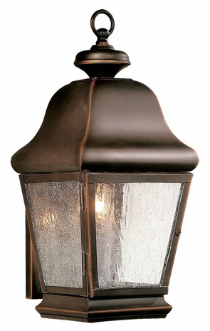 BFCD4923OB Troy Lighting Car Lighton 1 Light Wall Lantern Fluor in Oil Rubbed Bronze Finish