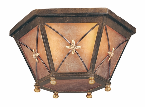 C1000 Troy Lighting Cheshire Two-Light Outdoor Flush Mount