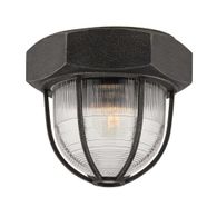 C3891-APW Troy Lighting Acme 1Lt Flush Mount with Aged Pewter Finish