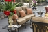 DL2018-9 Darlee Classic San Marcos Sofa in Antique Bronze