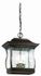 Troy Lighting