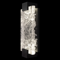 896650-11ST Fine Art Lighting Terra 15.75"H Sconce with Black/Clear Glass Finish