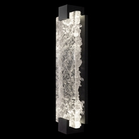 896750-11ST Fine Art Lighting Terra 21.75"H Sconce with Black/Clear Glass Finish
