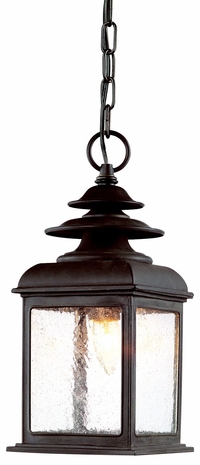 FF5077CI Troy Lighting Adams 1 Light Hanging Lantern Fluo in Colonial Iron Finish