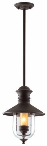 FF9362NB Troy Lighting Old Town 1 Light Hanging Lantern in Natural Bronze Finish