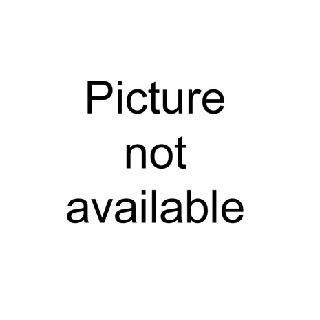 PATSBOT Long Family Platter