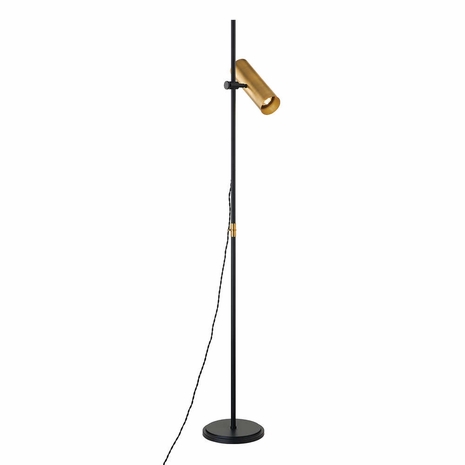 PFL9665-PBR/SBK Troy Lighting Quinn 1Lt Floor Lamp with Patina Brass Finish