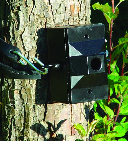 R-TM60 Troy Landscape Tree Mount Strap 60 x 1 inch Strap With Buckle