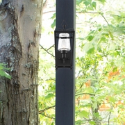 SYL-2211-SD-BF Crystorama Libby Langdon for Crystorama Sylvan Outdoor 1 Light Black Forged Wall Mount