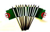 Algeria Miniautre Flags - 12 Pack